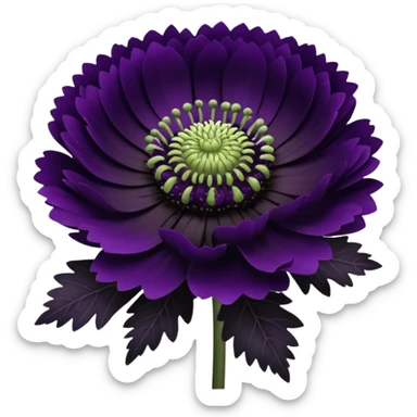 black knight scabiosa sticker