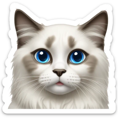 Realistic ragdoll cat with blue eyes female sticker