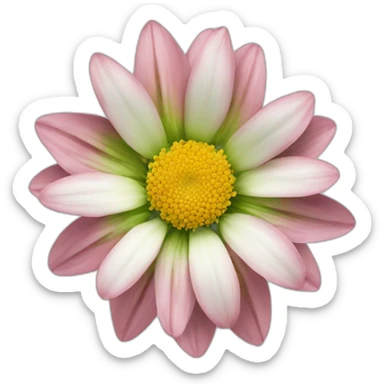 Beautiful Flower Edelweiß sticker