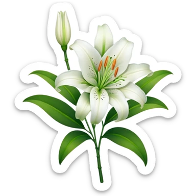 Beautiful white lily flower with green stem and leaves sticker