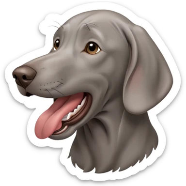 cinematic-cute-yawning-weimaraner-portrait-emoji,-head-tilted-slightly-with-a-dramatic,-wide-open-yawn,-revealing-a-sleek grey fur-with-a-subtle-shimmer,-floppy-ears-slightly-drooping,-round-brown-eyes-barely-open-in-drowsy sticker