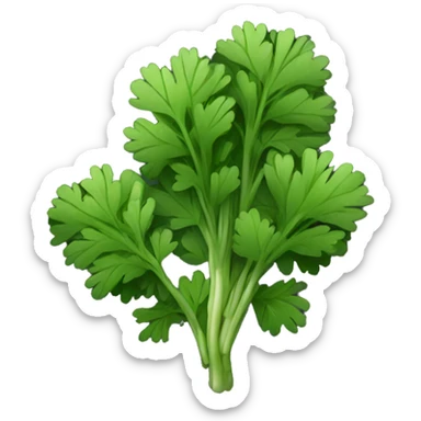Cilantro with black background sticker