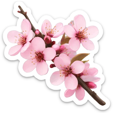 cherry blossoms sticker