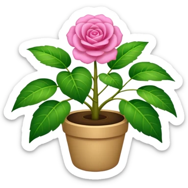 Una planta bonita, con su masetá color rosa sticker