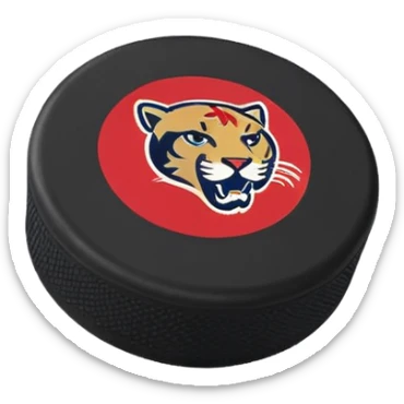 hockey puck with Florida Panthers colors sticker