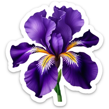 Purple Iris sticker
