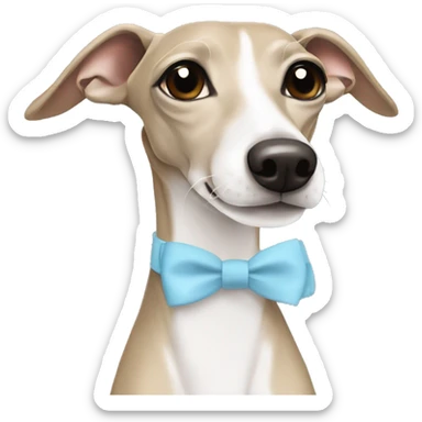 Beige and white Italian greyhound with a light blue bow sticker