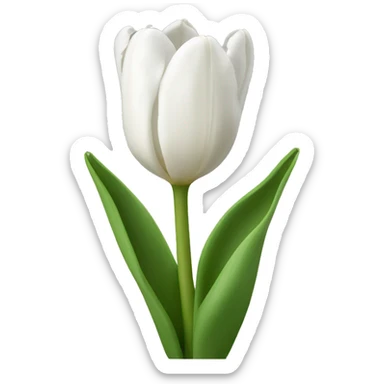 White tulips sticker