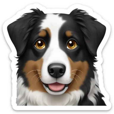 Black Australian shepherd with blonde and white accents sticker