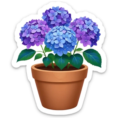 hydrangeas flower pot sticker