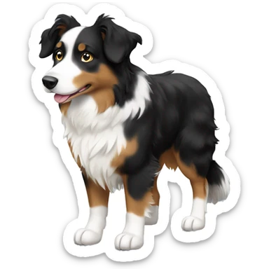 Create a black, tan and white Australian shepherd with white paws sticker