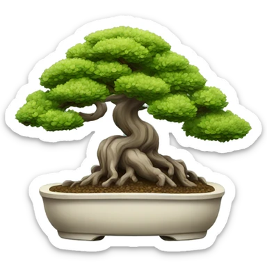 Bonsai tree sticker