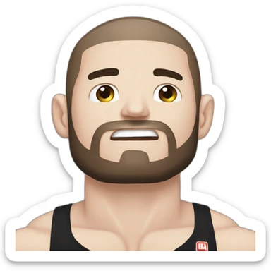 Khabib nurmagomedov fighting mma sticker