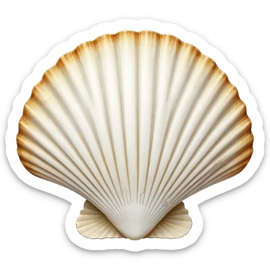 St. James scallop shell pilgrim symbol sticker