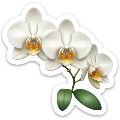 white orchids sticker