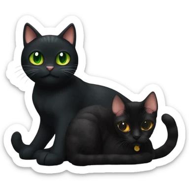 a black cat with green eyes is best friends with an orange cat sticker