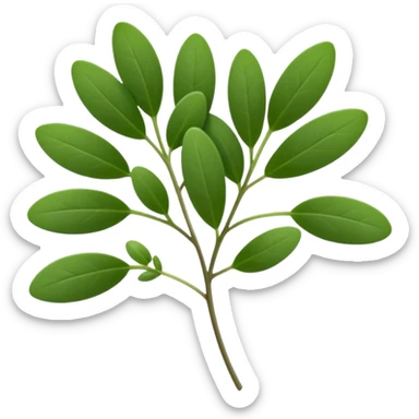 small thyme sprig, slender stems, dense pairs of tiny deep green oval leaves, crisp and delicate, aromatic freshness, soft lighting, emoji scale sticker