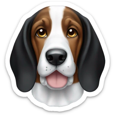 Black and brown basset hound beagle with white face sticker