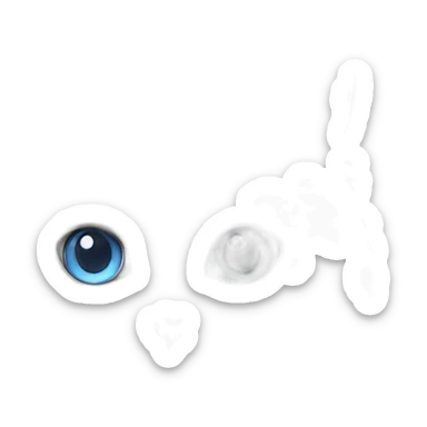 white persian cat blue eyes sticker