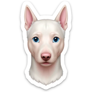 albino doberman with blue eyes sticker