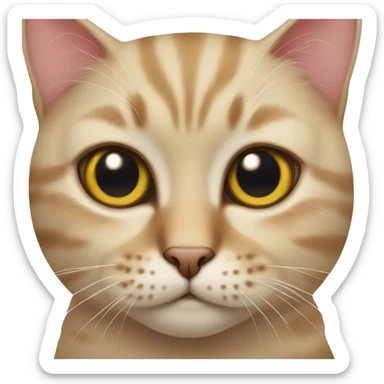 Scottish cat sticker