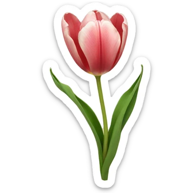 tulipan sticker