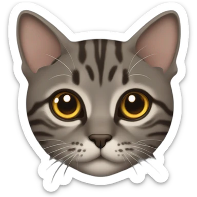 Tabby dark grey brown cat name small eye sticker