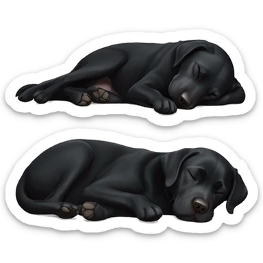 Black Labrador sleeping sticker