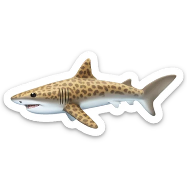 Leopard shark sticker