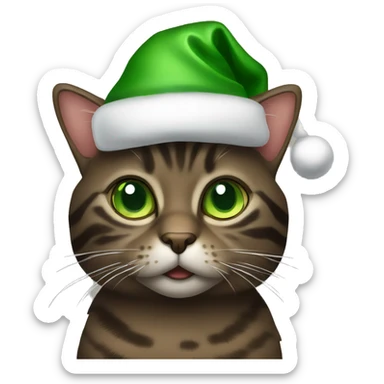 Dark brown tabby cat with green eyes wearing Christmas hat sticker