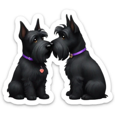 Senior Two black Scottish terrier kissing sticker