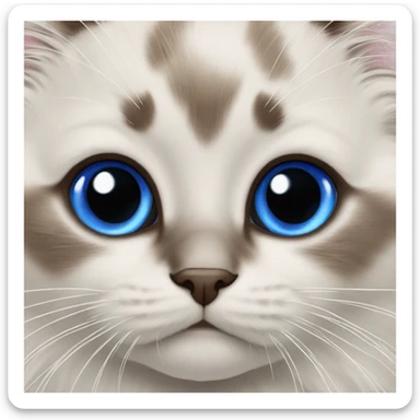 Ragdoll kitten with brown nose royal blue eyes sticker