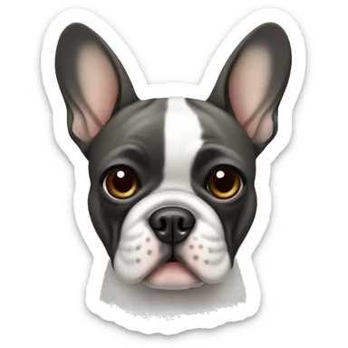 French bulldog that is gray , black, brown and white sticker