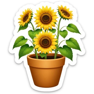 sunflowers pot sticker
