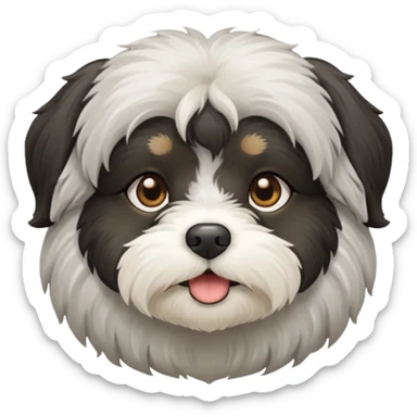 Black Havanese with white chest and greyish around mouth sticker