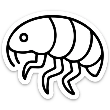 a sand flea, outlined icon style, simple black line art sticker