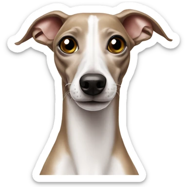 italian greyhound  sticker