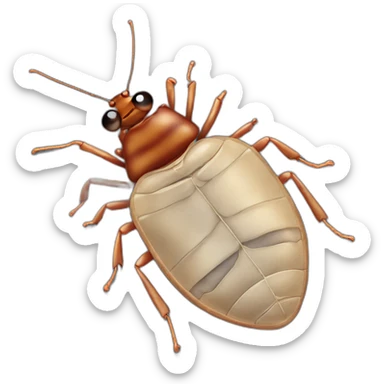 Bedbug sticker