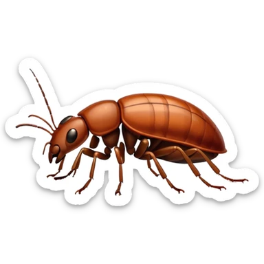 bedbug sticker