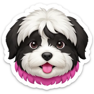 cute and bold havanese female dog black and white sticker