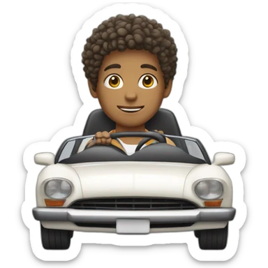 a boy with curly hair driving a car sticker