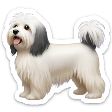 Havanese dog tricolor sticker