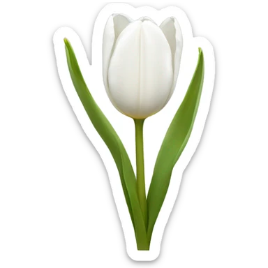 White tulips  sticker