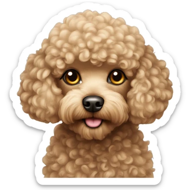 Toy poodle  sticker