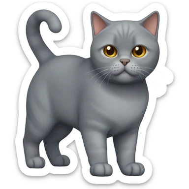 british shorthair sticker
