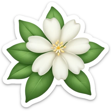 Jasmine Flower sticker