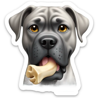 Grey Cane Corso chewing a huge bone. sticker