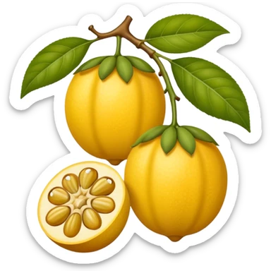 maracuja fruta sticker