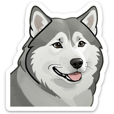 Alaskan malamute, grey and white sticker