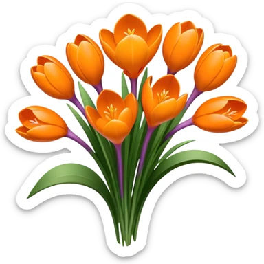 luxuriant, bouquet Crocus Orange, stem, leaf sticker